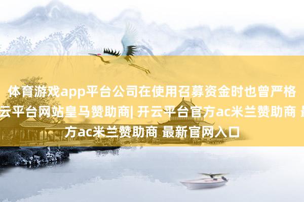 体育游戏app平台公司在使用召募资金时也曾严格奉命履行-开云平台网站皇马赞助商| 开云平台官方ac米兰赞助商 最新官网入口