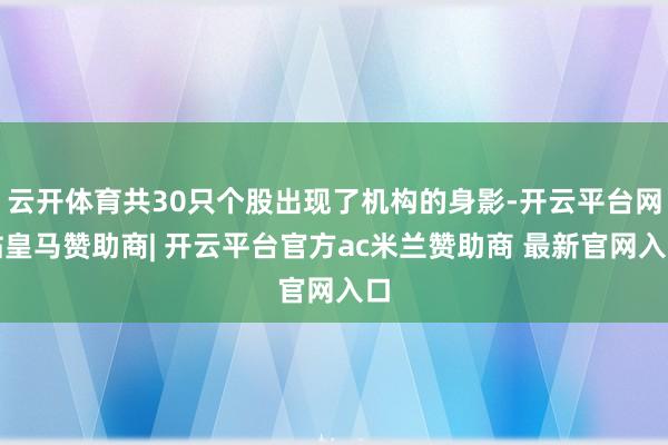 云开体育共30只个股出现了机构的身影-开云平台网站皇马赞助商| 开云平台官方ac米兰赞助商 最新官网入口