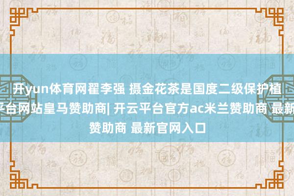 开yun体育网翟李强 摄　　金花茶是国度二级保护植物-开云平台网站皇马赞助商| 开云平台官方ac米兰赞助商 最新官网入口