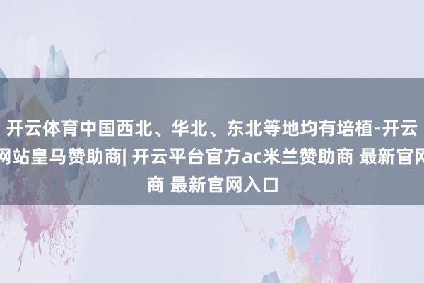 开云体育中国西北、华北、东北等地均有培植-开云平台网站皇马赞助商| 开云平台官方ac米兰赞助商 最新官网入口