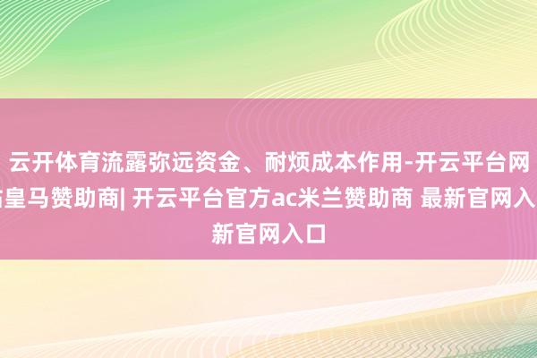 云开体育流露弥远资金、耐烦成本作用-开云平台网站皇马赞助商| 开云平台官方ac米兰赞助商 最新官网入口