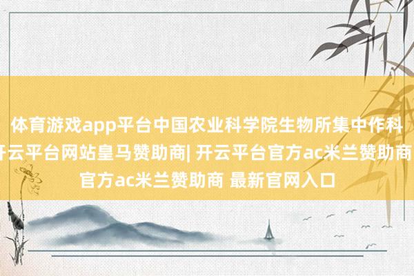 体育游戏app平台中国农业科学院生物所集中作科所、牧医所-开云平台网站皇马赞助商| 开云平台官方ac米兰赞助商 最新官网入口